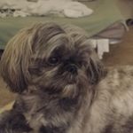 Profile Picture of Kim O'Malley (@trinitycleaning2008) on Instagram