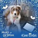 Profile Picture of Jodi Derrick (@jbflygirl) on Instagram