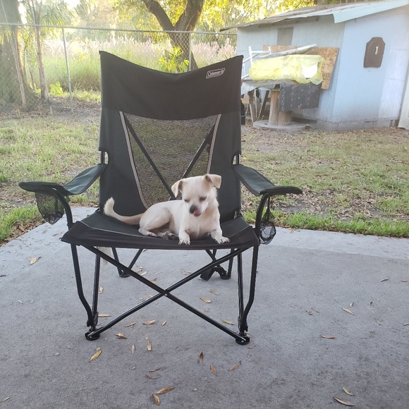 Profile Picture of Alicia Lara (@alv8181) on Poshmark