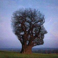 Profile Picture of Stefano Omassi (@stefano-omassi) on Quora