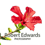 Profile Picture of Robert Edwards (@rhephotography) on Flickr