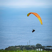 Profile Picture of Wilfried LATCHMAN (WILSOFIRE) (@wilfriedlatchman499) on Youtube