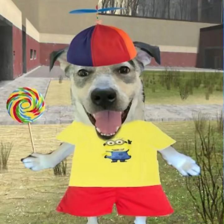 Profile Picture of Gavin Mann (@@gavinmannn) on Tiktok