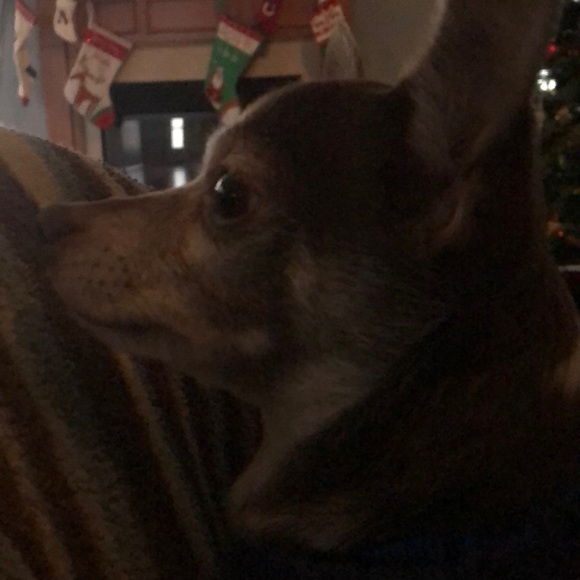 Profile Picture of Emilie Jaskolka (@emilie9769) on Poshmark