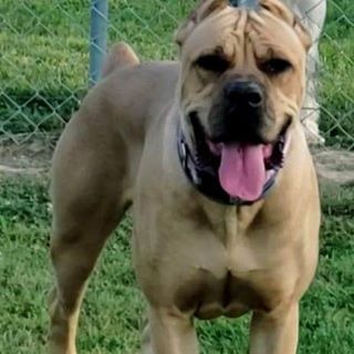 Profile Picture of Sonny Garrett (@sonny.garrett.9) on Facebook