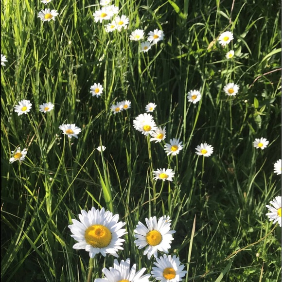 Profile Picture of Mccall Maciag (@mmaciag) on Poshmark