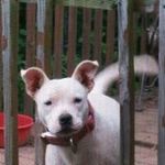 Profile Picture of Jerry Armstrong (@jerry.armstrong9) on Instagram