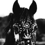 Profile Picture of Kimberly Chaney (@chaney.kimberly) on Instagram