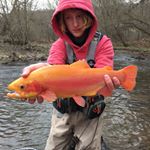 Profile Picture of Michael Corcoran (@eastcoast._outdoors) on Instagram