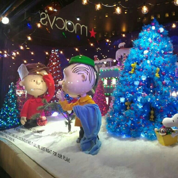 Ernestine Stephens - Poshmark Profile Picture of Ernestine Stephens (@tstephens41) on Poshmark