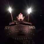 Profile Picture of Guildo Konrad (@kimba_vip) on Instagram