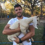 Profile Picture of Nick Neill (@nick_neill2) on Instagram