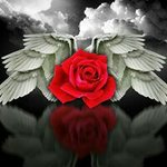 Profile Picture of Tracie Clark (@___tracie.___) on Instagram