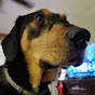 Profile Picture of Jason Stepp (@@jgstepp) on Tiktok