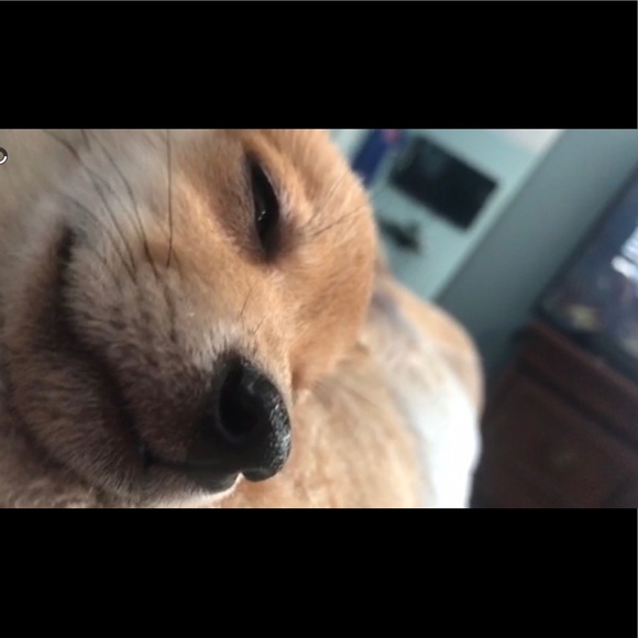 Meagan Fallat - Poshmark Profile Picture of Meagan Fallat (@ooomeggy) on Poshmark