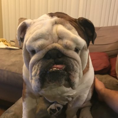 Profile Picture of Jonathan Carlile (@joncarlile1) on Twitter