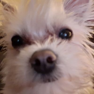 Profile Picture of Joshua Harkey (@JoshuaHarkey2) on Twitter