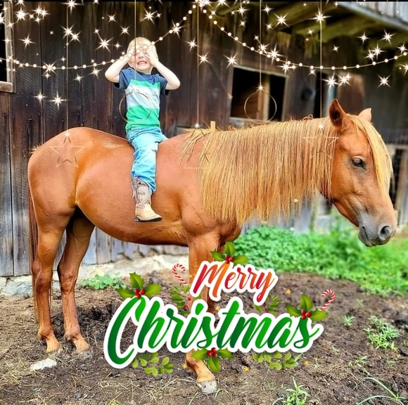 Profile Picture of Josie Casebere (@marrylegz) on Poshmark