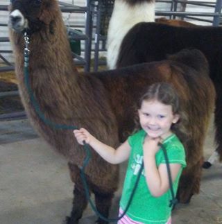 Profile Picture of Jerri Kimball (@jerri.kimball.5) on Facebook