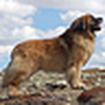 Profile Picture of Inger Marie (@inger marie) on Flickr