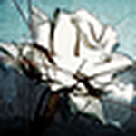 Profile Picture of kevin jordan (@HighWithEnergy) on Flickr