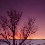 Profile Picture of Stephen Bull (@nature_nilly) on Instagram