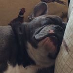Profile Picture of David hitchcock (@davidhitchcock100) on Instagram