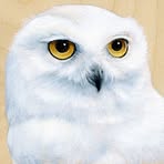 Profile Picture of Darek Westland (@allan.levesque.3) on Facebook