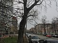 Profile Picture of Shabolovka Streeton Wikipedia