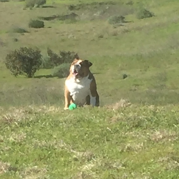 Profile Picture of Tim Daniel (@dyr3qtim17) on Poshmark