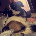 Kevin Dekalb - Facebook Profile Picture of Kevin Dekalb (@kevin.dekalb.547) on Facebook