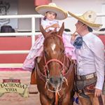 Profile Picture of Jaime Anguiano (@jaime_ang) on Instagram