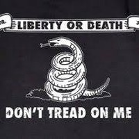 Profile Picture of Roger Fowler (@roger-fowler-11) on Quora