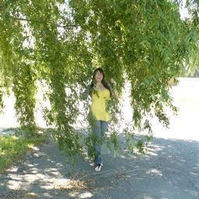 Profile Picture of Andrea Schaller (@aneschca) on Twitter