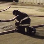 Profile Picture of Peter Depew (@depewpeteraolcom) on Instagram