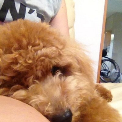 Profile Picture of Jane Butcher (@Lyricsquotes42) on Twitter