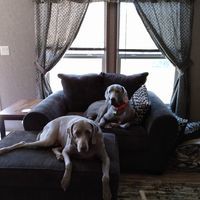 Profile Picture of Paula Bender (@paula-bender-11) on Quora