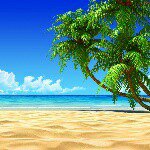 Profile Picture of adam shareef (@adam.shareef) on Instagram