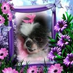 Profile Picture of Ruth Parisi (@benniesgramma) on Instagram