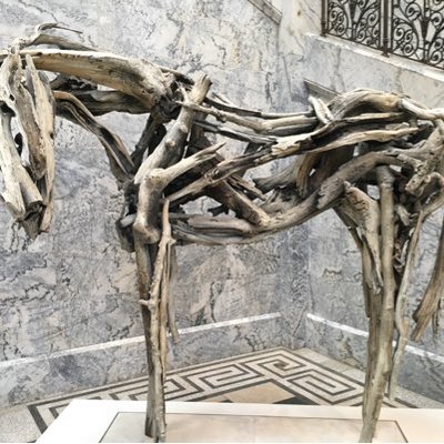 Profile Picture of Robin Yu (@pku_robin) on Twitter