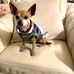 Profile Picture of Lisa Wallick Gavin (@Lisa-Wallick-Gavin) on Facebook
