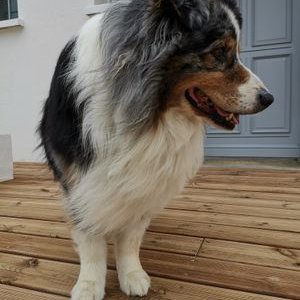 Profile Picture of David Lime (@david17690) on Twitter