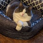 Profile Picture of Kimberly Vancoughnett (@souced_saucy) on Instagram
