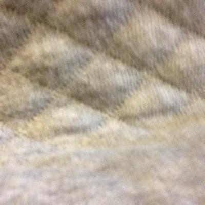 Profile Picture of Thomas Kemery (@thomas_chevy23) on Twitter