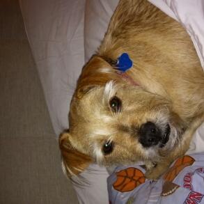 Alexander Lanza - Twitter Profile Picture of Alexander Lanza (@AlAlexander1120) on Twitter