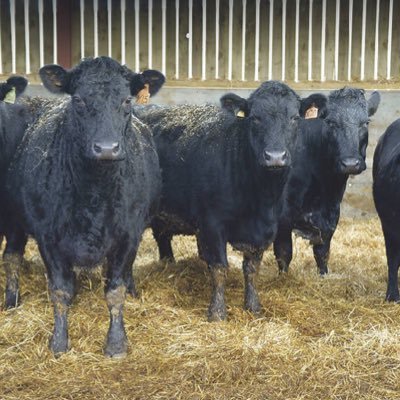 Profile Picture of Zach Waller (@ZachWaller2) on Twitter