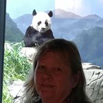 Profile Picture of Carole Maloney (@maloney1711) on Instagram