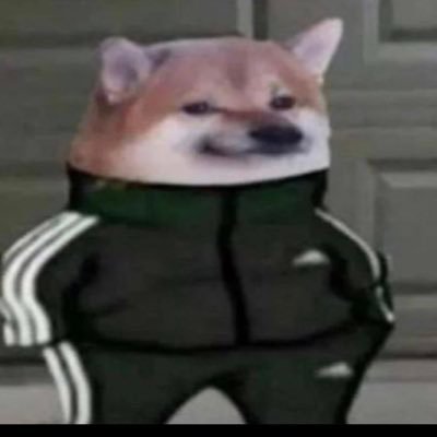 Profile Picture of Petit Uzi Green (@alex_qanbery) on Twitter