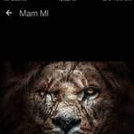 Profile Picture of Douglas Kadima (@Douglas-Kadima) on Facebook