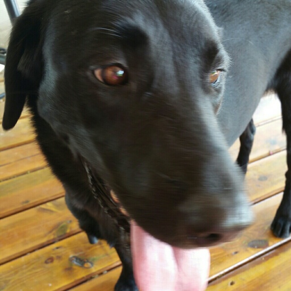 Profile Picture of Heather Kempley (@hkem6g11) on Poshmark